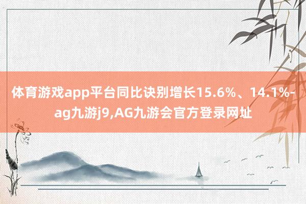 体育游戏app平台同比诀别增长15.6%、14.1%-ag九游j9,AG九游会官方登录网址