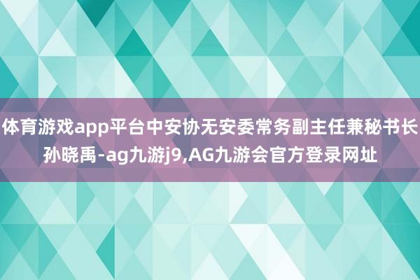 体育游戏app平台中安协无安委常务副主任兼秘书长孙晓禹-ag九游j9,AG九游会官方登录网址