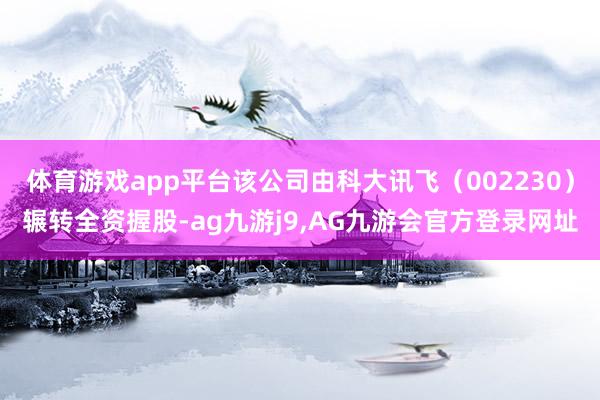 体育游戏app平台该公司由科大讯飞（002230）辗转全资握股-ag九游j9,AG九游会官方登录网址