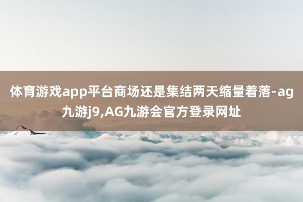 体育游戏app平台商场还是集结两天缩量着落-ag九游j9,AG九游会官方登录网址