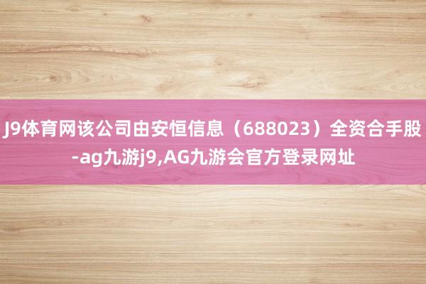 J9体育网该公司由安恒信息（688023）全资合手股-ag九游j9,AG九游会官方登录网址