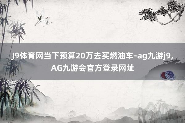 J9体育网当下预算20万去买燃油车-ag九游j9,AG九游会官方登录网址